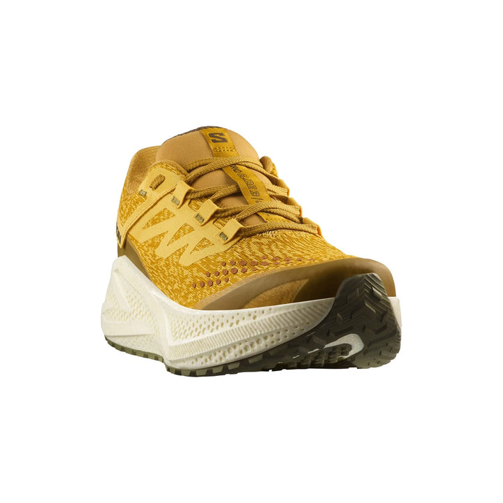 Salomon Aero Glide 3 Grvl Mens | Spicy Mustard/vanilla Ice/deep Lichen Green