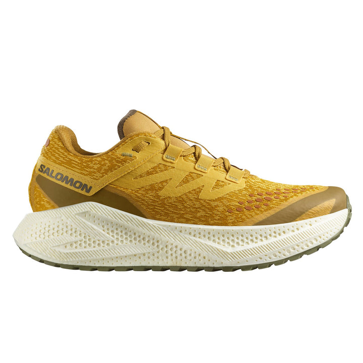 Salomon Aero Glide 3 Grvl Mens | Spicy Mustard/vanilla Ice/deep Lichen Green